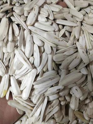 牙簽瓜子，品味生活的雋永滋味