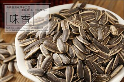 品味休閑時光 招商徽記五香瓜子，舌尖上的炒貨藝術